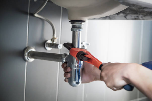 Best Local Plumber Services  in Roscommon, MI